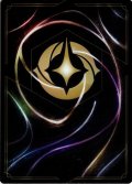 8/15日開催 (トレカ魂フェス2026内開催)セットチャンピオンシップ  ※説明欄必読