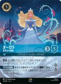 オーロラ 夢見る守護者[DL_1_213/204_Enchanted]
