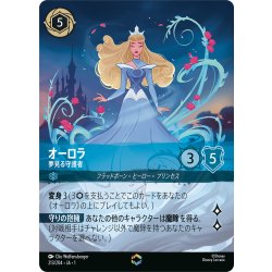 画像1: オーロラ 夢見る守護者[DL_1_213/204_Enchanted]