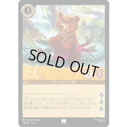 画像1: コーダ 小さいクマさん[DL_7_34/204_U]