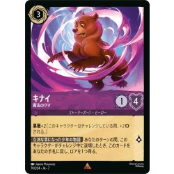 画像1: キナイ 魔法のクマ[DL_7_70/204_R]