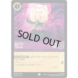 画像1: ★Foil★白バラ- 花園の宝石[DL_6_40/204_C]