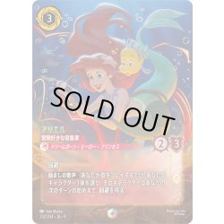 画像1: アリエル 冒険好きな収集家[DL_9_232/204_Enchanted]