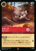 トランプ 頼りになるやつ[DL_14_122/204_R]