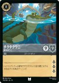 チクタクワニ 運河のワニ[DL_14_175/204_U]