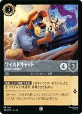 ワイルドキャット 型破りな整備士[DL_14_180/204_C]