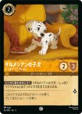 ★Foil★ダルメシアン しっぽフリフリちゃん[DL_3_4c/204_C]
