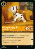 ★Foil★ダルメシアン しっぽフリフリちゃん[DL_3_4d/204_C]