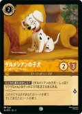 ★Foil★ダルメシアン しっぽフリフリちゃん[DL_3_4e/204_C]