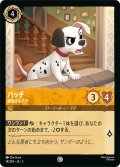 パッチ 威嚇する子犬[DL_3_14/204_C]