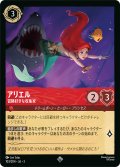 アリエル 冒険好きな収集家[DL_3_103/204_SR]