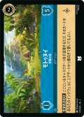 モトゥヌイ 楽園の島[DL_3_170/204_U]
