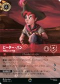 ピーター・パン 海賊たちの天敵[DL_3_215/204_Enchanted]