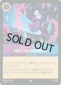 INTO THE UNKNOWN(イントゥ・ジ・アンノウン)[DL_8_81/204_SR]