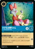 小さなお姉ちゃん しっかりもののウサギ[DL_8_163/204_C]