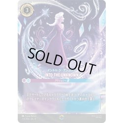 画像1: ※PayPal(クレジットカード決済)限定※INTO THE UNKNOWN(イントゥ・ジ・アンノウン)[DL_8_213/204_Enchanted]