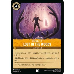 画像1: Lost in the Woods(恋の迷い子)[DL_4_29/204_U]