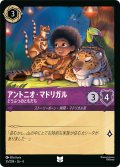 アントニオ・マドリガル どうぶつのともだち[DL_4_35/204_U]
