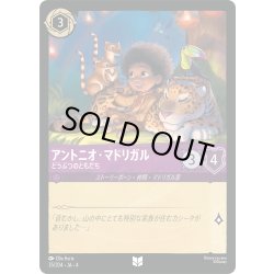 画像1: ★Foil★アントニオ・マドリガル どうぶつのともだち[DL_4_35/204_U]