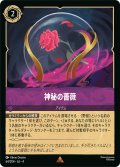 ★Foil★神秘の薔薇[DL_4_64/204_R]