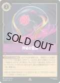 神秘の薔薇[DL_4_64/204_R]