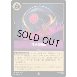 画像1: 神秘の薔薇[DL_4_64/204_R]