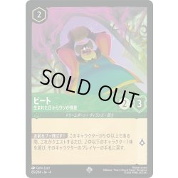 画像1: ピート 生まれた日からウソが得意[DL_4_85/204_SR]