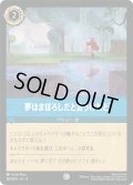 夢はまぼろしだと言うけれど[DL_4_164/204_C]