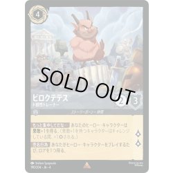画像1: ピロクテテス ド根性トレーナー[DL_4_190/204_R]