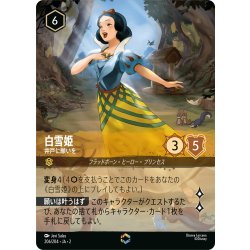 画像1: 白雪姫 井戸に願いを[DL_2_206/204_Enchanted]