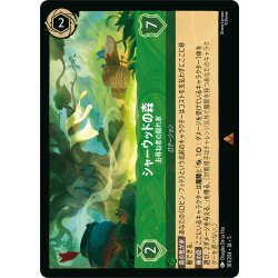 画像1: ★Foil★シャーウッドの森 お尋ね者の隠れ家[DL_5_101/204_R]