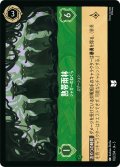 ★Foil★熱帯雨林 ジャガーのねぐら[DL_5_102/204_U]