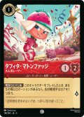 タフィタ・マトンファッジ 大人気レーサー[DL_5_114/204_C]