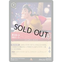 画像1: ガストン 完璧なヒーロー[DL_5_119/204_R]