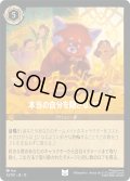 ★Foil★本当の自分を隠さないで[DL_13_33/207_U]