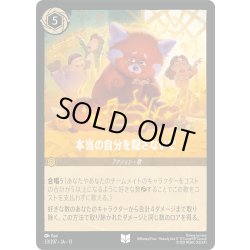 画像1: 本当の自分を隠さないで[DL_13_33/207_U]