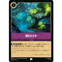 画像1: 割れたさや[DL_13_70/207_U]
