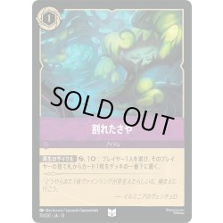 画像1: ★Foil★割れたさや[DL_13_70/207_U]