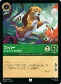 コッパ― クリエイティブな語り手[DL_13_90/207_U]