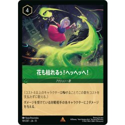 画像1: ★Foil★花も枯れるぅ!ヘッヘッヘ![DL_13_101/207_R]