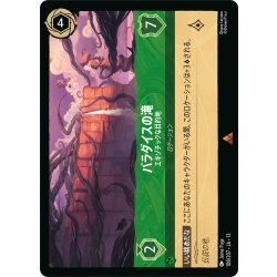 画像1: パラダイスの滝 エキゾチックな目的[DL_13_108/207_R]