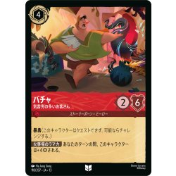 画像1: パチャ 気苦労の多いお客さん[DL_13_118/207_U]