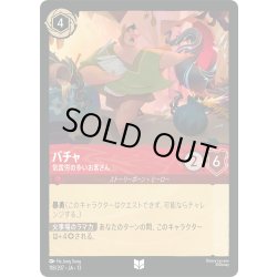 画像1: パチャ 気苦労の多いお客さん[DL_13_118/207_U]