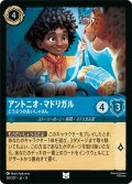 アントニオ・マドリガル どうぶつのおいしゃさん[DL_13_157/207_U]