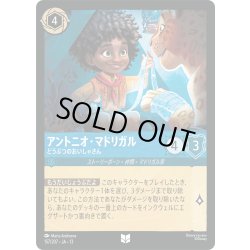 画像1: ★Foil★アントニオ・マドリガル どうぶつのおいしゃさん[DL_13_157/207_U]