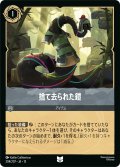 捨て去られた鎧[DL_13_204/207_U]