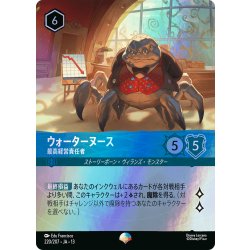 画像1: ウォーターヌース 最高経営責任者[DL_13_220/207_Epic]