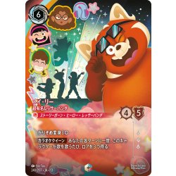 画像1: メイ・リー 超有名レッサーパンダ[DL_13_240/207_Enchanted]