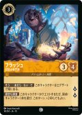 フラッシュ 記録の専門家[DL_10_14/204_C]