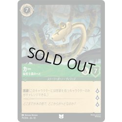 画像1: カー 秘密主義のヘビ[DL_10_79/204_U]